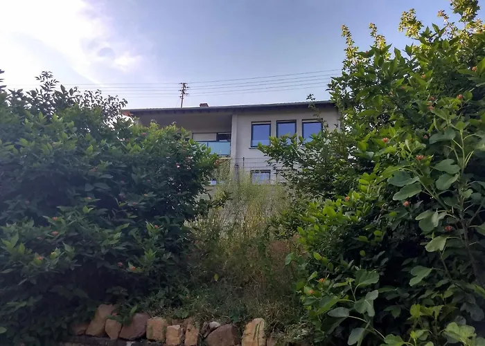 Fraeulein Frenz Vakantiehuis Bollendorf