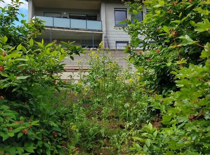 Vakantiehuis Fraeulein Frenz