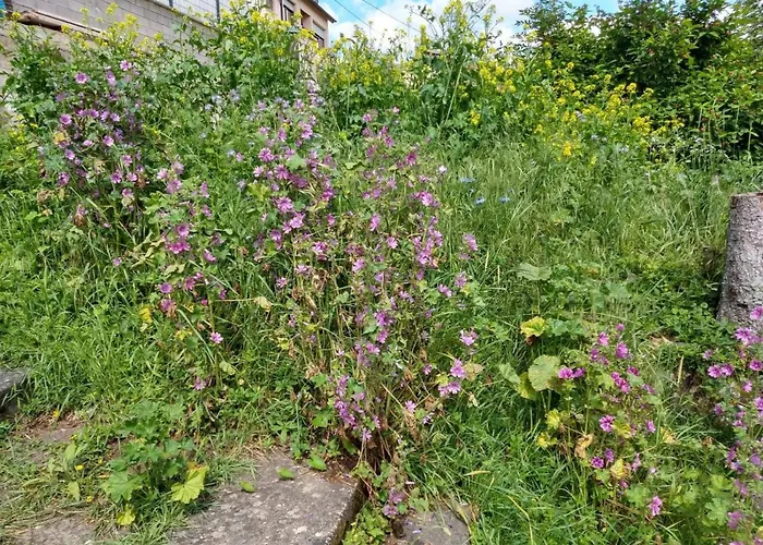 Fraeulein Frenz Vakantiehuis